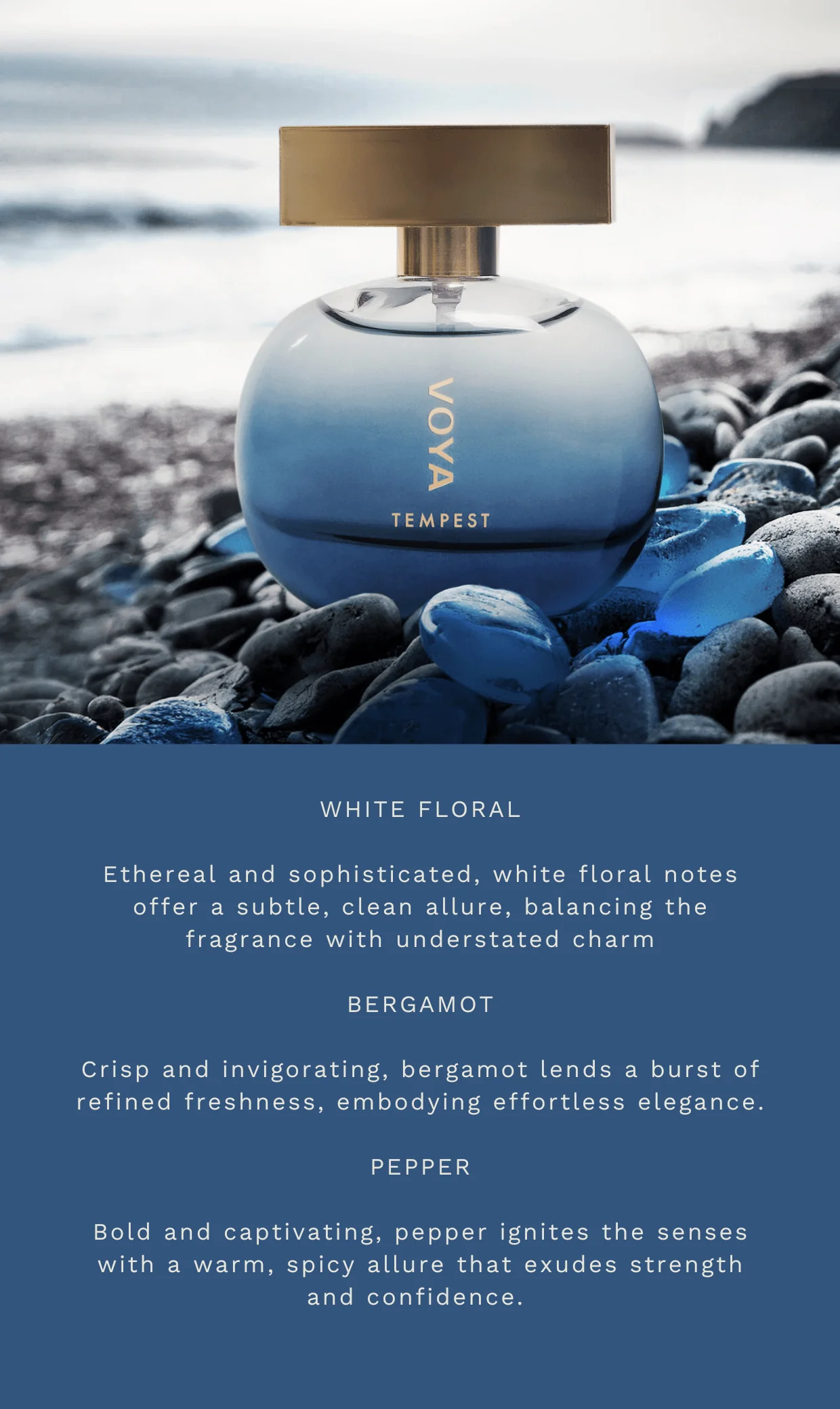 Tempest | Eau de Toilette - Image 3